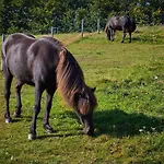 6 Person In Aabenraa-by Traum Tatil Evi Aabenraa